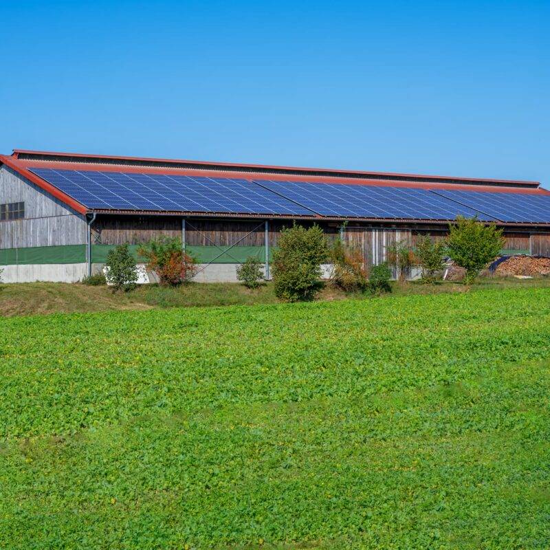 Nettoyage, entretien de panneaux solaires pour bâtiments, ombrières et structures agricoles vers Strasbourg et Sélestat Strasbourg 2